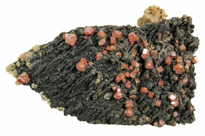 Small Red Vanadinite Crystals on Goethite - Morocco #366229